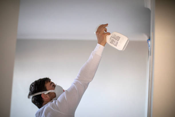 Best Local Mold Removal Service  in Rio Vista, TX