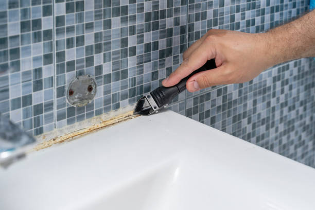 Best Attic Mold Removal  in Rio Vista, TX